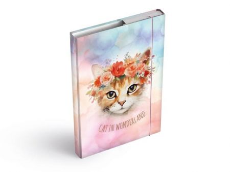 Desky na sešity MFP box A4 Cat