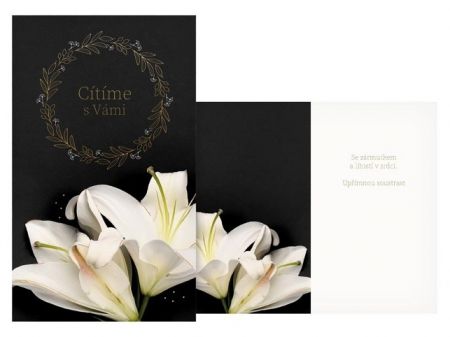 Přání kondolenční M13-084 T