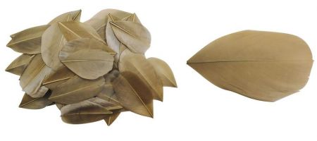 Peříčka - 9. HNĚDÉ