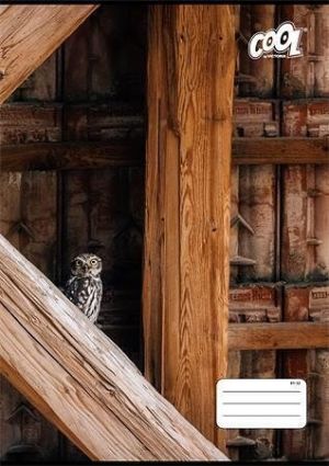 Sešit &quot;Texture&quot;, 81-32, mix motivů, A4, linkovaný, 32 listů, COOL BY VICTORIA