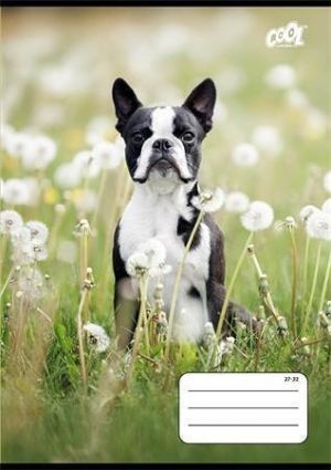 Sešit &quot;B&amp;W dogs&quot;, 27-32, mix motivů, A5, čtverečkovaný, 32 listů, COOL BY VICTORIA
