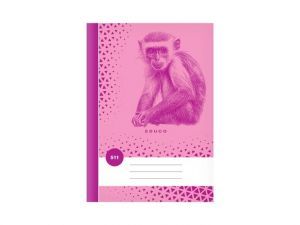 Školní sešit BASE 511