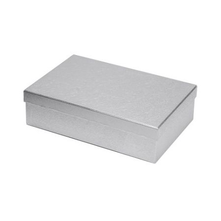 ARGUS Dárková krabice stříbrný papír 25455183