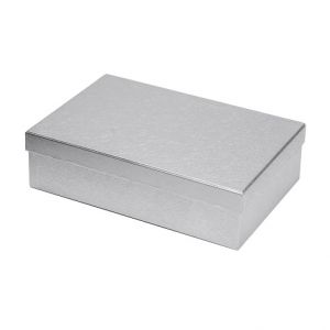 ARGUS Dárková krabice stříbrný papír 25465183