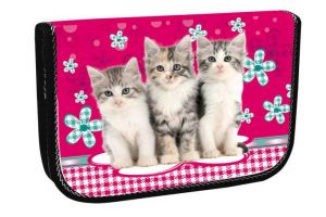 STIL školní penál jednopatrový Cats