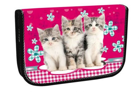 STIL školní penál jednopatrový Cats