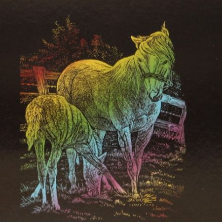 Škrábací obrázek A5 kůň s hříbětem DUHA