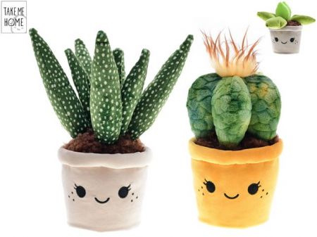 Take Me Home rostliny pokojové plyšové 19-27cm 3druhy 0m+