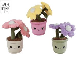 Take Me Home rostliny pokojové plyšové 22cm 3barvy 0m+