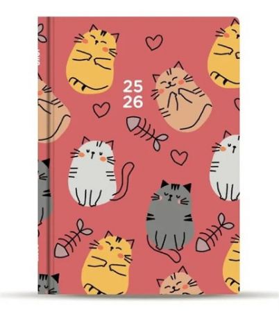 ALBI Diář B6 18 měsíců 2026 - Kočičky