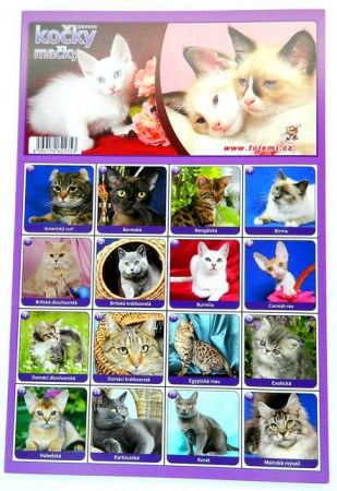 Pexeso Kočky