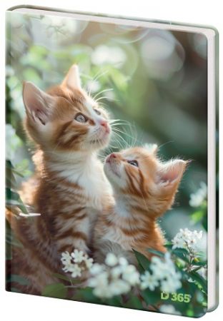 STIL Památník čistý Tabby