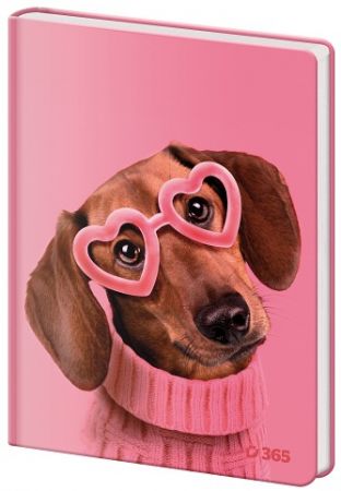 STIL Památník čistý Cute