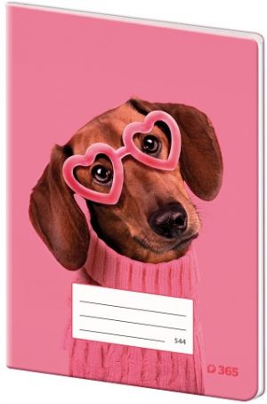 STIL Sešit 544 linkovaný papírové desky – Cute