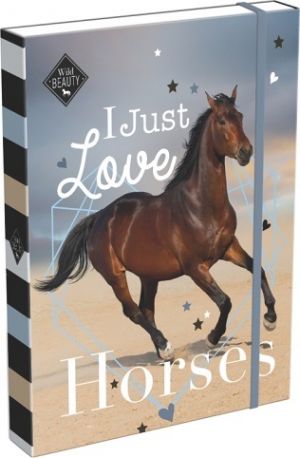 Box na sešity A5 Wild Beauty Love 22958609