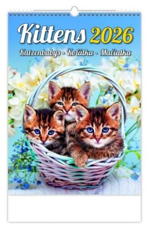 Kalendář nástěnný Kittens/Katzenbabys/Koťátka/Mačičky 2026 / 33cm x 24cm / N180-26