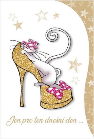 Blahopřání &quot;RR&quot; Celorok 407 kočka