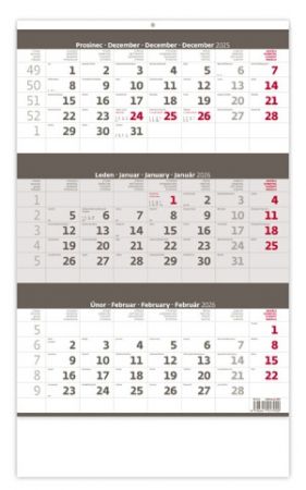 Kalendář nástěnný Tříměsíční šedý 2026 / 52cm x 31,5cm / N204-26