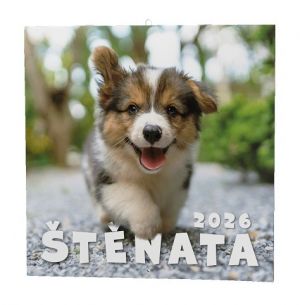 Kalendář nástěnný Štěňata 2026 / 57cm x 28,5cm / BNL2-26