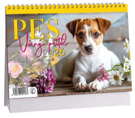 Kalendář stolní Pes - věrný přítel 2026 / 23cm x 16cm / K784