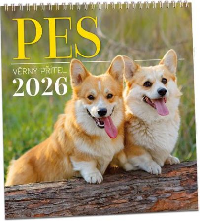 Kalendář nástěnný Pes - věrný přítel 2026 / 32cm x 34cm / KN316