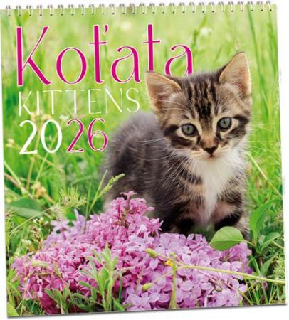 Kalendář nástěnný Koťata 2026 / 32cm x 34cm / KN317