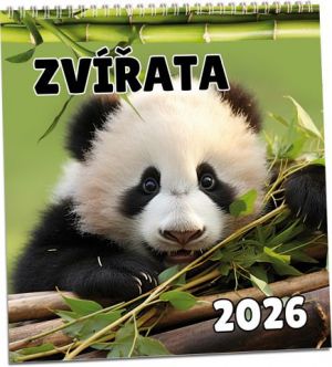 Kalendář nástěnný Zvířata 2026 / 32cm x 34cm / KN319