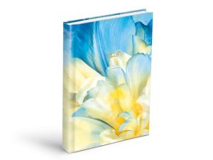 Diář denní D801 Lamino 3 2026 / 20,5cm x 14cm / 7781439