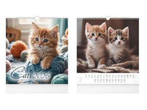 Kalendář nástěnný malý Cats 2026 / 39cm x 32cm / 1061634