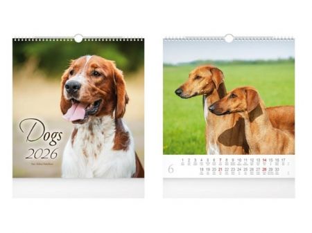 Kalendář nástěnný malý Dogs 2026 / 39cm x 32cm / 1061635