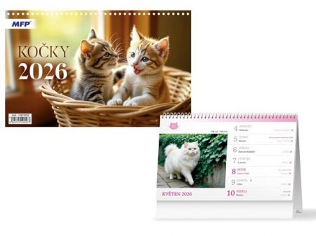 Kalendář stolní Kočky 2026 / 23cm x 23cm / 1061652