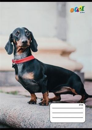 Sešit "Hounds", 27-32, mix motivů, A5, čtverečkovaný, 32 listů, COOL BY VICTORIA