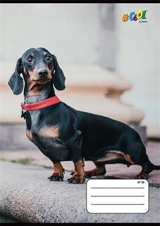 Sešit "Hounds", 27-32, mix motivů, A5, čtverečkovaný, 32 listů, COOL BY VICTORIA