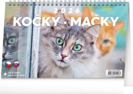 Kalendář stolní Kočky – Mačky CZ/SK 2026, 23,1 x 14,5 cm / PGS-35348