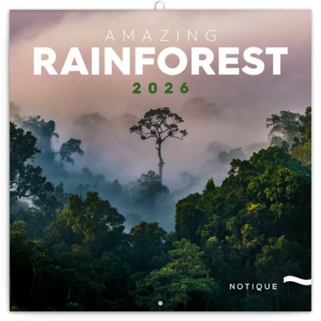 Kalendář nástěnný poznámkový Deštné pralesy 2026, 30 x 30 cm / PGP-35471-V