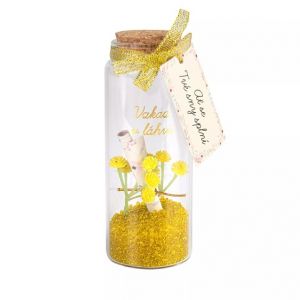 ALBI Vzkaz v láhvi - Ať se Tvé sny splní