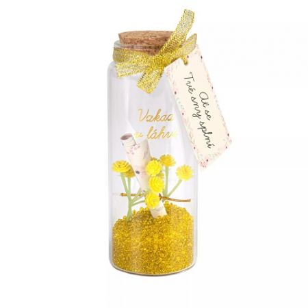 ALBI Vzkaz v láhvi - Ať se Tvé sny splní