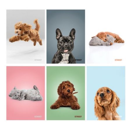 Sešit A5 54 listů Friends linkovaný