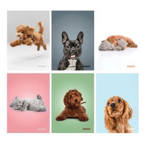 Sešit A5 54 listů Friends nelinkovaný