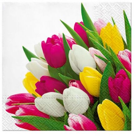 Ubrousky PAW Dekor L (20ks) Bunch of Tulips