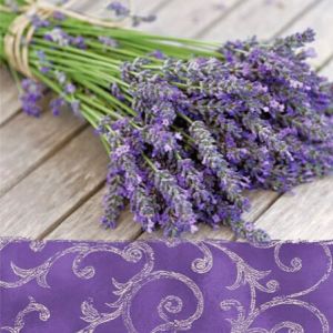 Ubrousky PAW Dekor L (20ks) Lavender in the Country