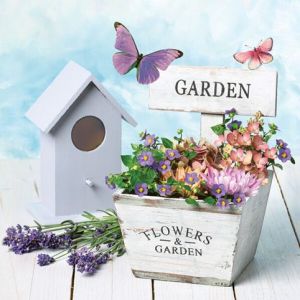 Ubrousky MAKI L (20ks) Garden & Flowers