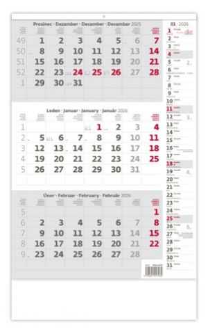 Kalendář nástěnný Tříměsíční šedý s poznámkami 2026 / 52cm x 31,5cm / N210-26