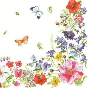 Ubrousky DAISY L (20ks) Blossom Border