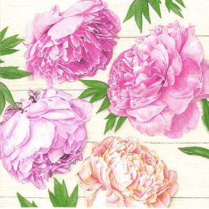 Ubrousky DAISY L (20ks) Romantic Peonies on White Wood