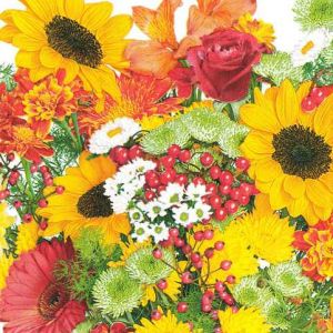 Ubrousky DAISY L (20ks) Rich Autumn Bouquet