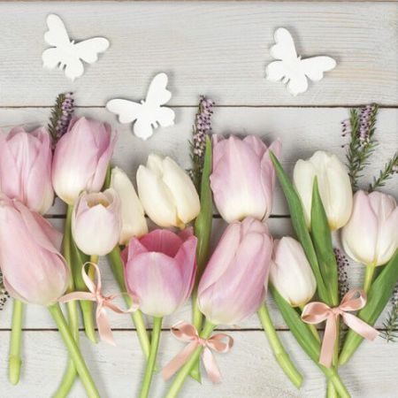 Ubrousky DAISY L (20ks) White &amp; Pink Tulips on Wood