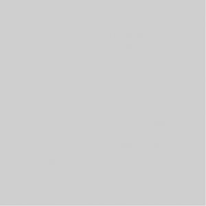 Ubrousky PAW Dekor L (20ks) Monocolor (silver)