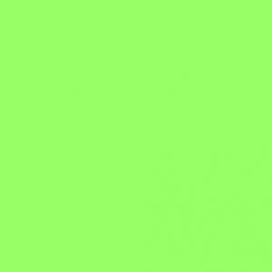 Ubrousky PAW UNI L (20ks) Anise green