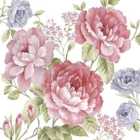 Ubrousky PAW Dekor L (20ks) Julietta